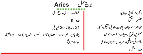 Aries Main Information